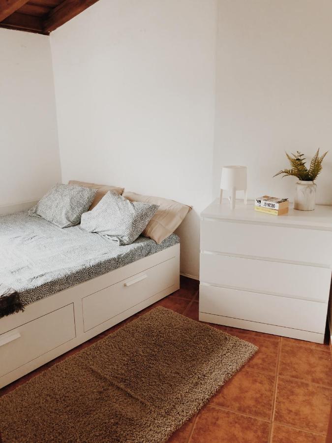 Pensjonat Casa Do Douro Alijó Zewnętrze zdjęcie