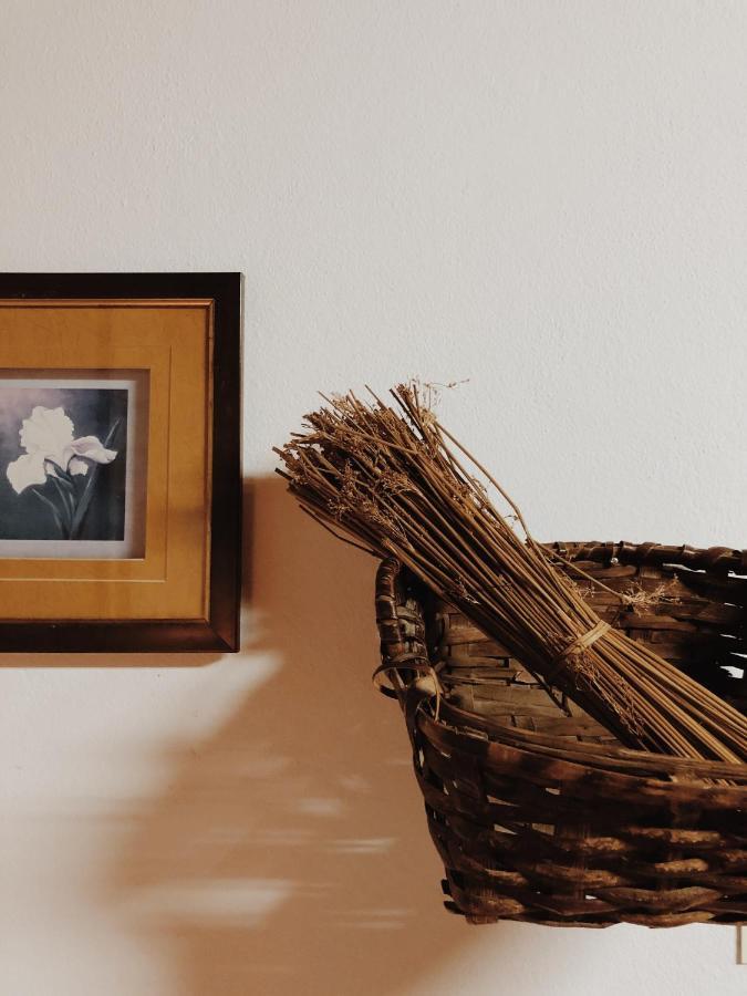 Pensjonat Casa Do Douro Alijó Zewnętrze zdjęcie