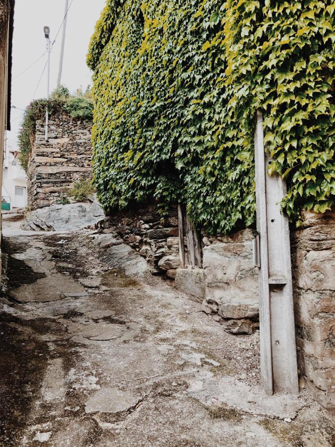 Pensjonat Casa Do Douro Alijó Zewnętrze zdjęcie